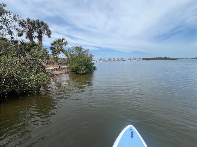 1680 Lemon Bay Dr, Venice, FL 34293 - water view