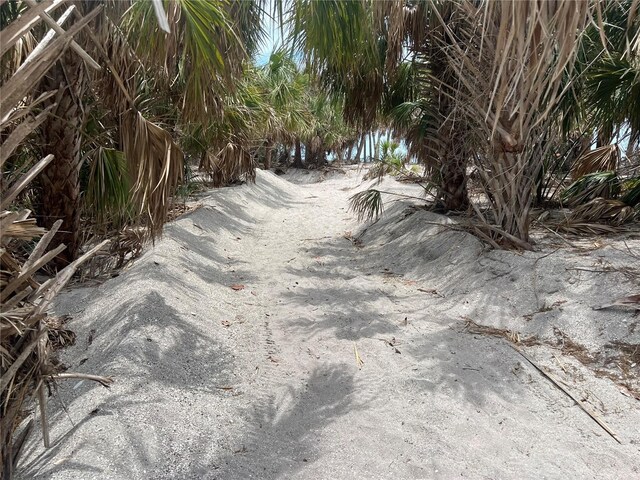 1680 Lemon Bay Dr, Venice, FL 34293 - view of road
