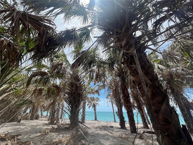1680 Lemon Bay Dr, Venice, FL 34293 - water view featuring local beach