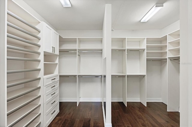 spacious closet with dark wood finished floors