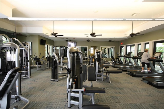 exercise room featuring carpet flooring, ceiling fan, and a wealth of natural light