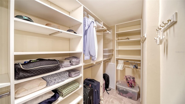 1212 Benjamin Franklin Dr Unit 503, Sarasota, FL 34236 - walk in closet with carpet flooring