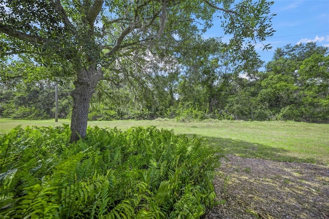 7659 Trillium Blvd, Sarasota, FL 34241 - photo 5
