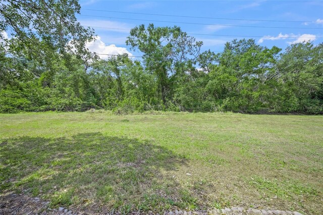 7659 Trillium Blvd, Sarasota, FL 34241 - photo 36