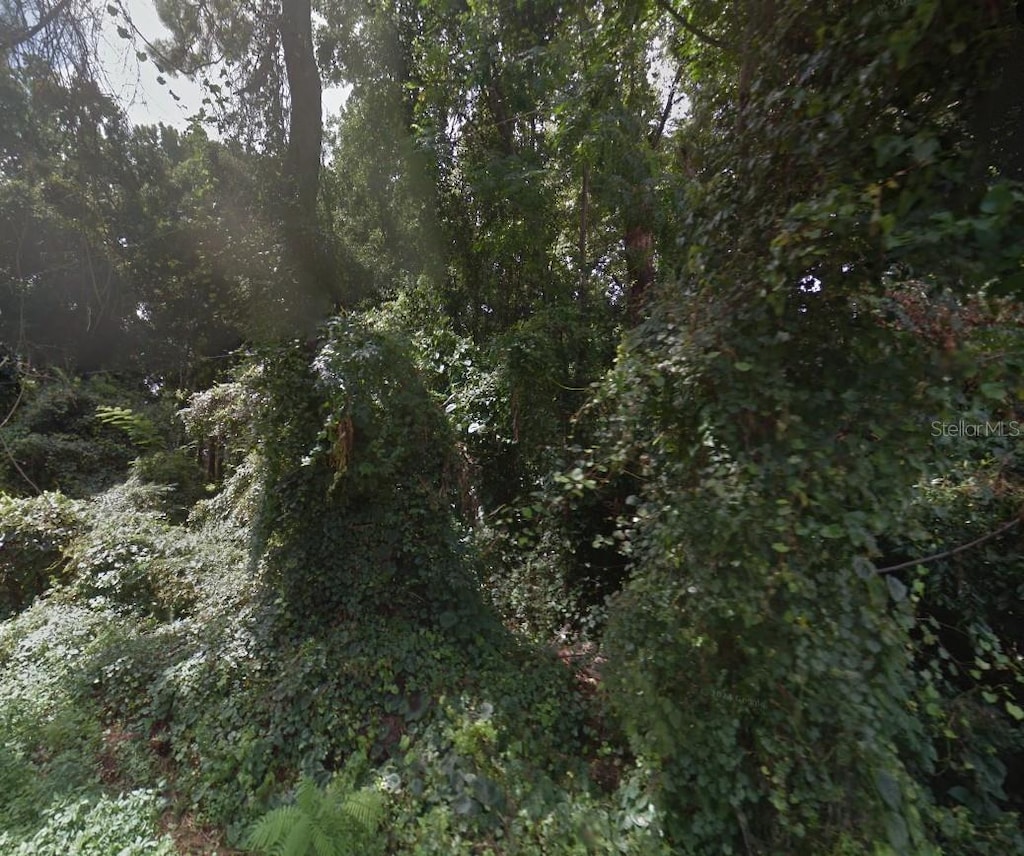 LOT12 SE 126th Ln, Belleview, FL 34420