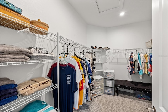 10819 Wicker Park Pl, Palmetto, FL 34221 - walk in closet featuring carpet and attic access