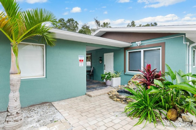 view of exterior entry featuring a patio and stucco siding