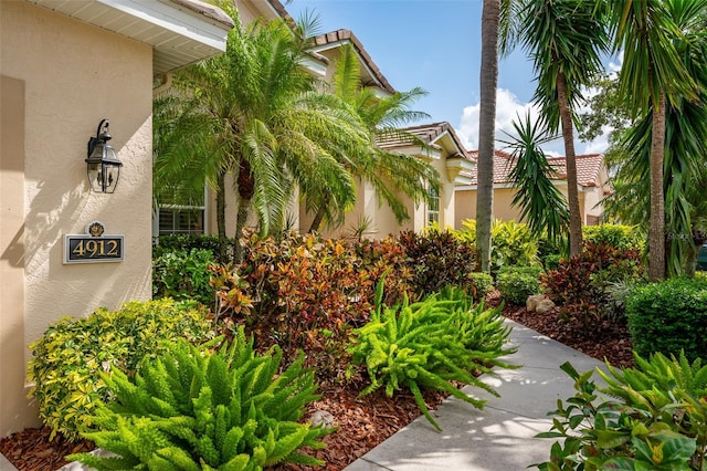 doorway to property featuring stucco siding