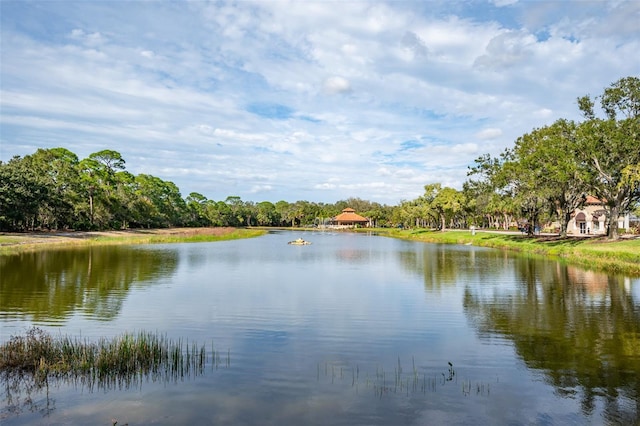 view of water feature