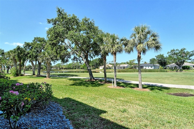 view of property's community with a water view and a yard