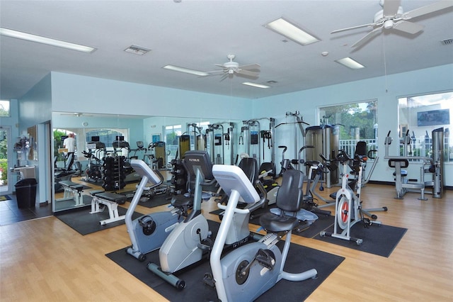 gym with a ceiling fan, visible vents, plenty of natural light, and wood finished floors