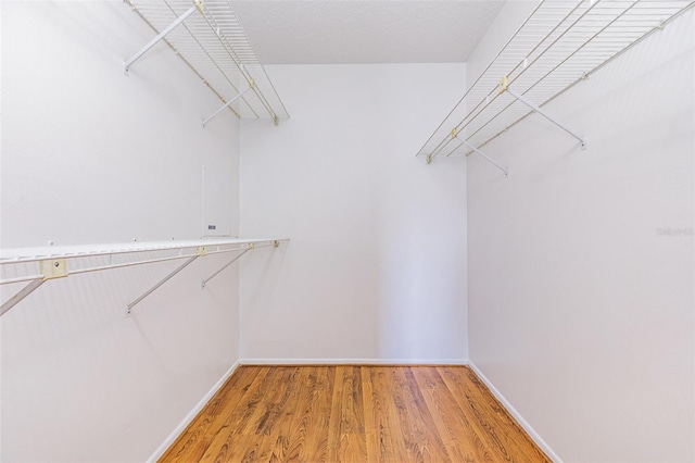3781 59th Ave W Unit 3781, Bradenton, FL 34210 - walk in closet with light wood finished floors