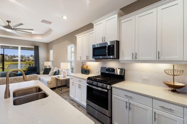 4815 Deep Creek Ter, Parrish, FL 34219 - kitchen with appliances with stainless steel finishes, a sink, open floor plan, a ceiling fan, and plenty of natural light