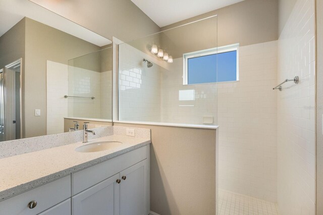 4815 Deep Creek Ter, Parrish, FL 34219 - full bathroom with vanity and a walk in shower