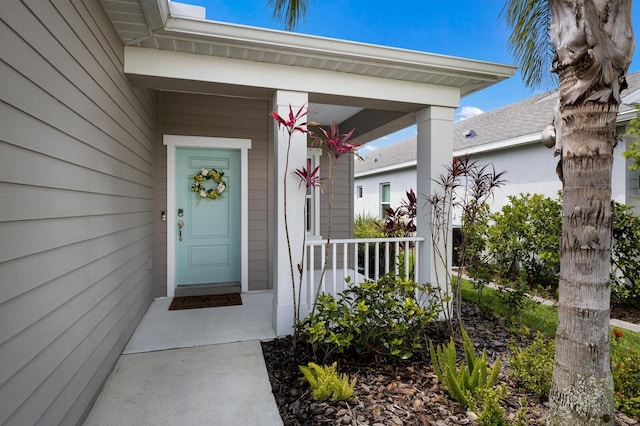 4815 Deep Creek Ter, Parrish, FL 34219 - photo 2