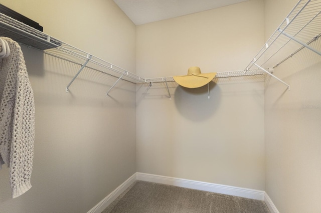 4815 Deep Creek Ter, Parrish, FL 34219 - photo 25