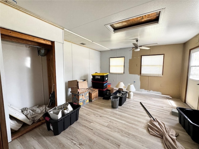interior space with a ceiling fan, attic access, and light wood-type flooring