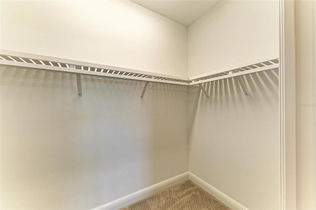 spacious closet featuring light colored carpet