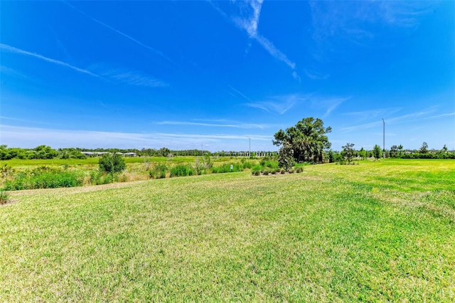 view of yard with a rural view