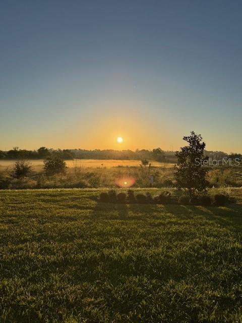 view of landscape featuring a rural view