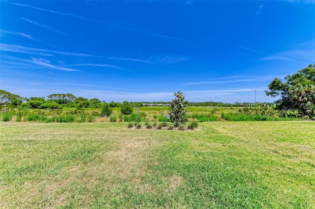 view of yard with a rural view
