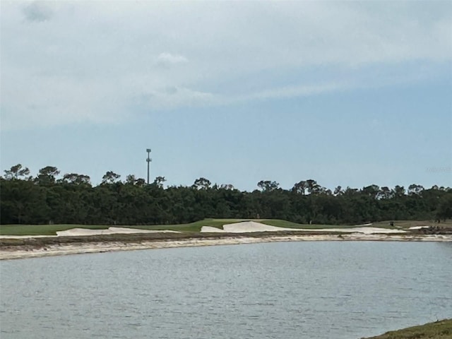 view of water feature