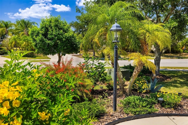 11634 Piedmont Park Xing, Bradenton, FL 34211 - view of home's community