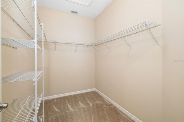 11634 Piedmont Park Xing, Bradenton, FL 34211 - walk in closet with carpet