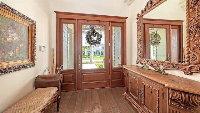 entrance foyer with dark wood-style flooring and plenty of natural light
