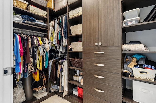 view of walk in closet