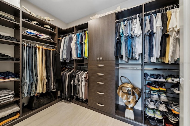 view of walk in closet