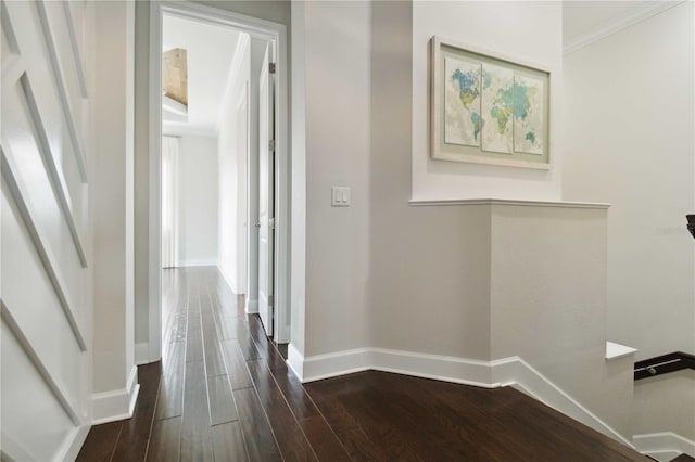 corridor featuring baseboards, dark wood-style floors, and ornamental molding