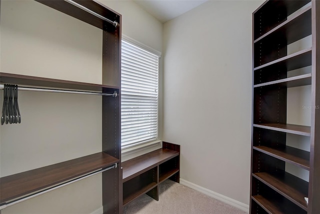 6001 Anise Dr, Sarasota, FL 34238 - walk in closet with carpet flooring