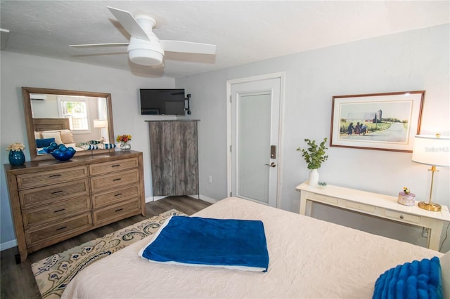 3717 Downer Ave, Sarasota, FL 34240 - photo 19