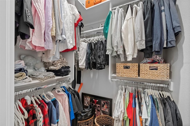 view of walk in closet