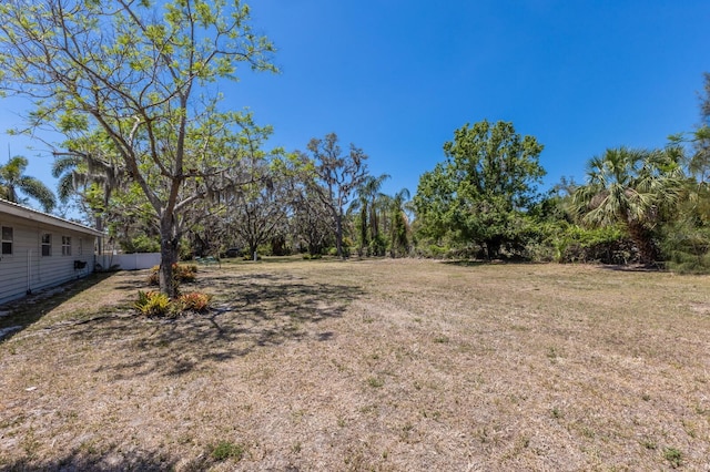 2723 59th St, Sarasota, FL 34243 - view of yard
