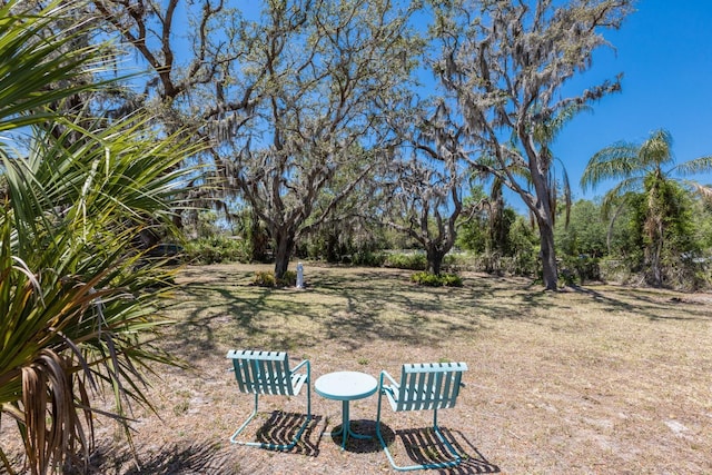 2723 59th St, Sarasota, FL 34243 - view of yard