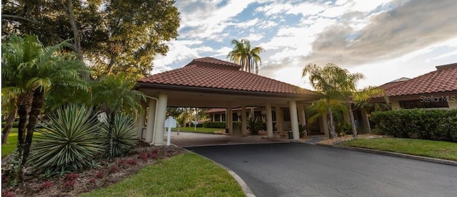 8142 Misty Oaks Blvd, Sarasota, FL 34243 - view of asphalt road