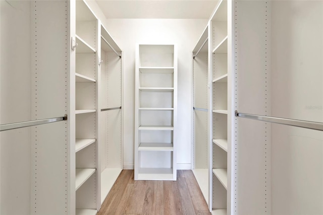spacious closet featuring wood finished floors