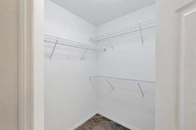 spacious closet with carpet flooring