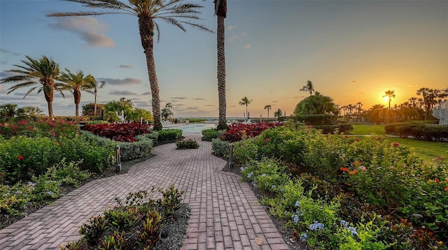 2185 Gulf Of Mexico Dr Unit 243, Longboat Key, FL 34228 - view of surrounding community