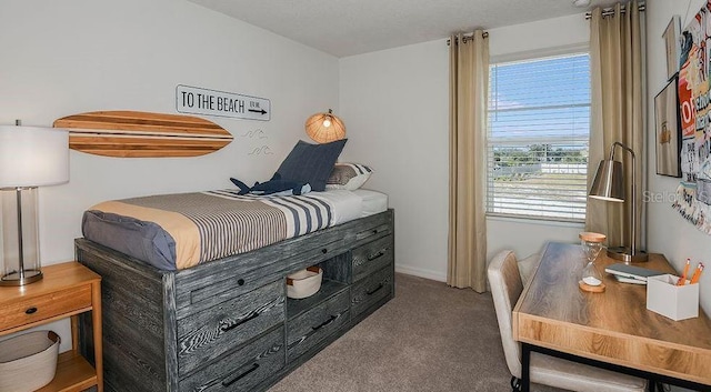bedroom with carpet floors