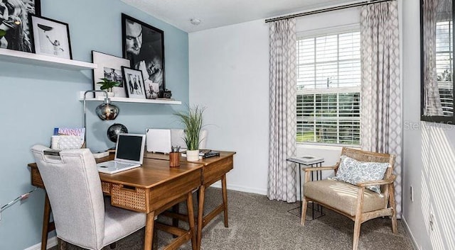 carpeted office space featuring baseboards and plenty of natural light