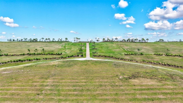 6203 Grandview Hill Ct, Bradenton, FL 34203 - view of yard with a view of countryside