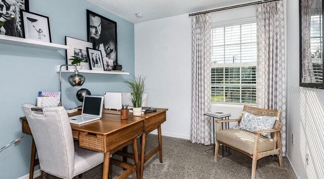 carpeted office space featuring baseboards and plenty of natural light