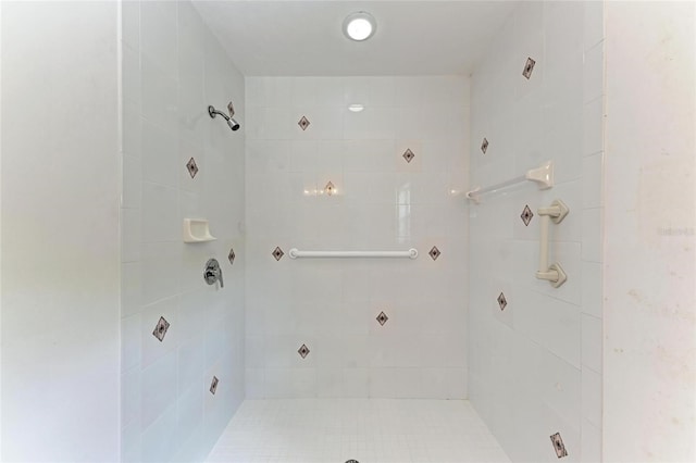 585 Khyber Ln, Venice, FL 34293 - full bathroom with tiled shower