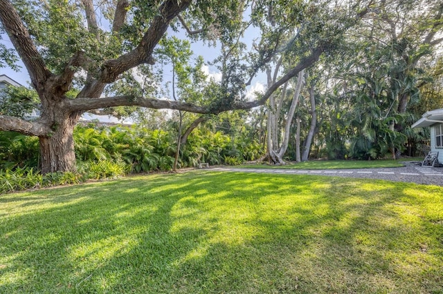 1773 S Dr, Sarasota, FL 34239 - photo 18