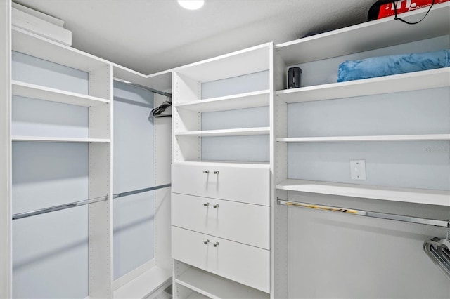 view of walk in closet