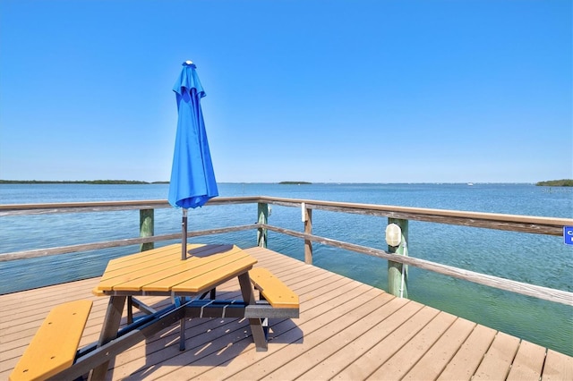 dock area with a water view