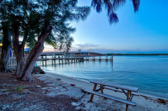 dock area with a water view